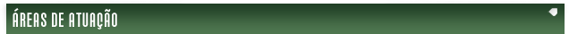 &Aacute;reas de Atua&ccedil;&atilde;o